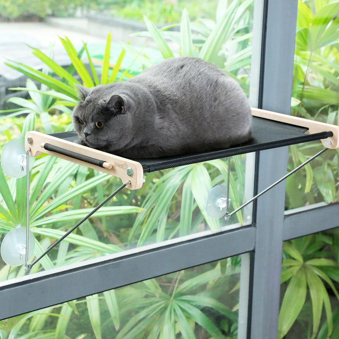 Pcute Grand perchoir de fenêtre pour chat avec métal pris en charge ci-dessous