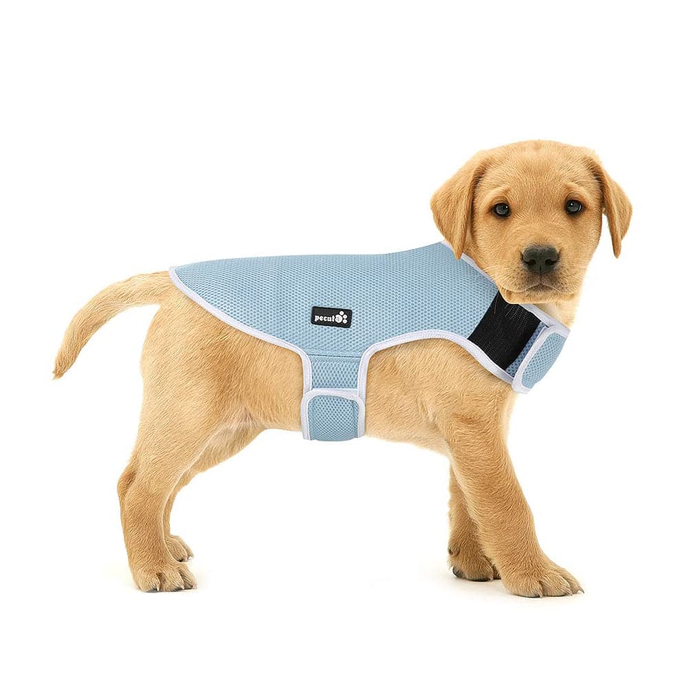Pecute New Dog Cooling Vest (M:36cm)