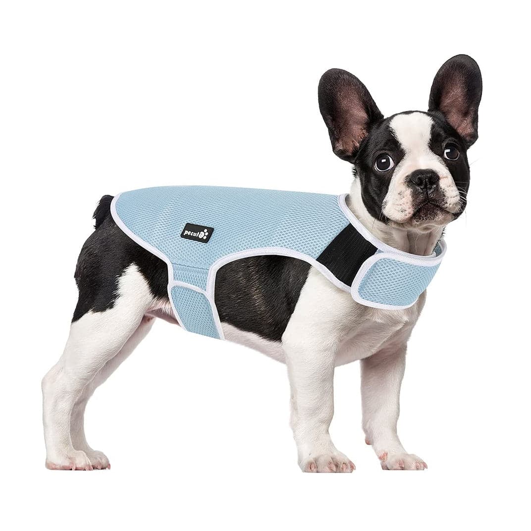 Pecute New Dog Cooling Vest (S: 30cm)