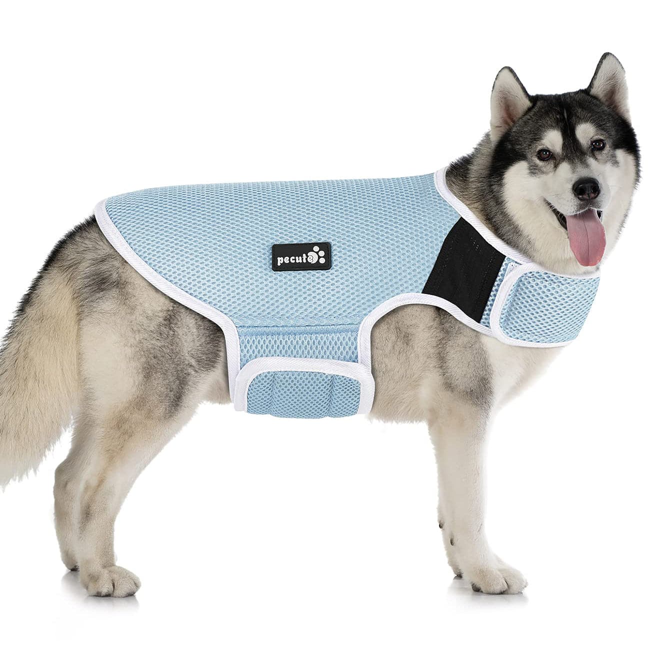 Pecute New Dog Cooling Vest (M:36cm)