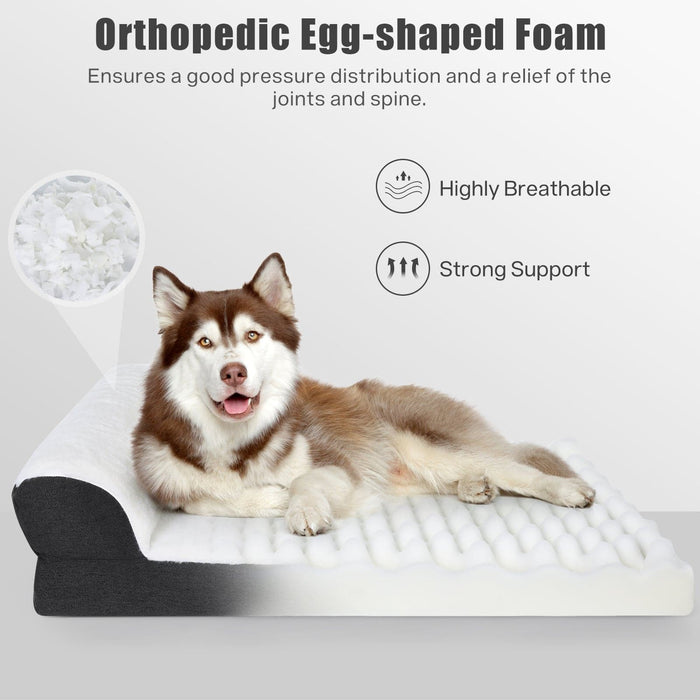 Pecute Dog Bed for Dogs Orthopedic (L)