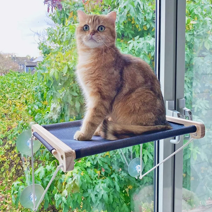 Perchoir de fenêtre de chat en maille respirante pour fenêtre