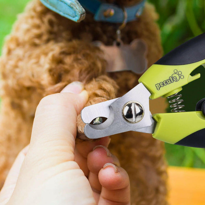 Pecute Coupe-ongles pour chien Coupe-ongles professionnel en acier inoxydable pour animaux de compagnie
