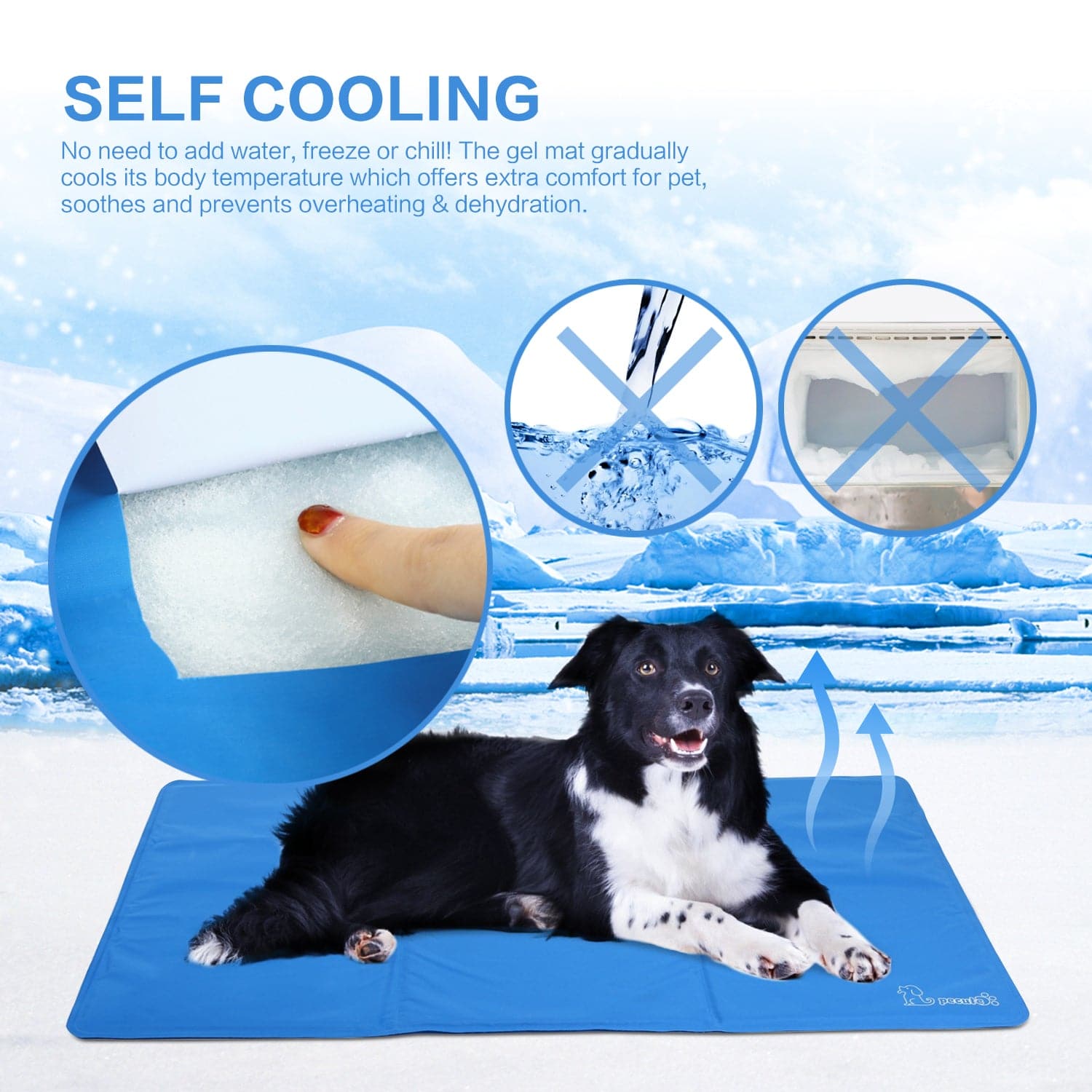 Pecute Dog Cooling Mat Blue（XS）