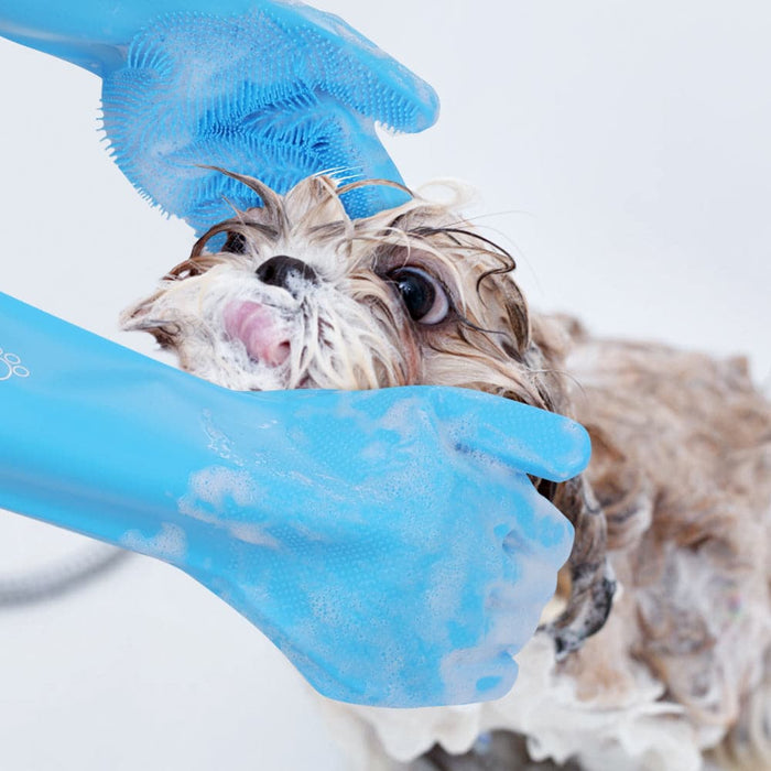 Pecute Dog Wash Mitt Gants de toilettage pour le bain