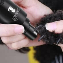 Meuleuses à ongles pour chien Pecute avec lumière LED