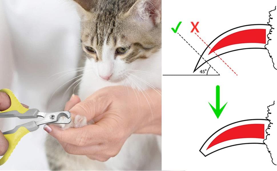 Pecute Cat Nail Clippers Sharp Stainless Steel