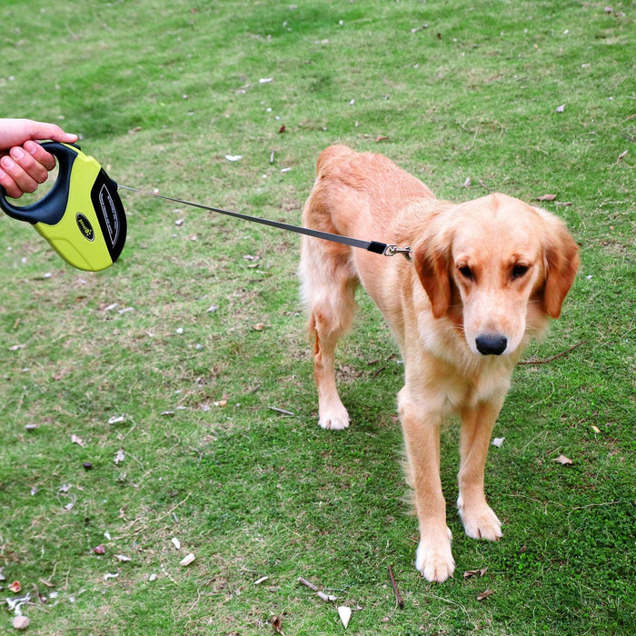 Guinzaglio per cani retrattile Pecute - Facile freno e blocco con un solo pulsante